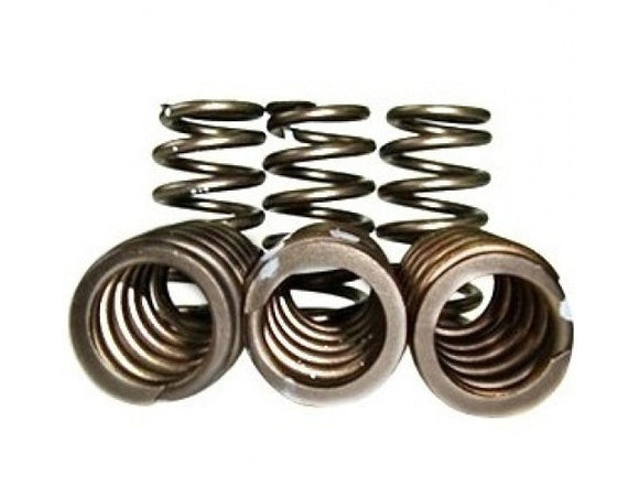 CSD DT360/DT466 Performance Valve Springs